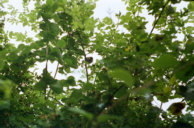 Similar image 22073399