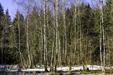 Similar image 22069312