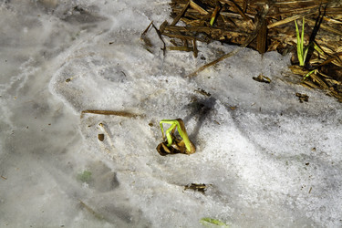 Similar image 22069317