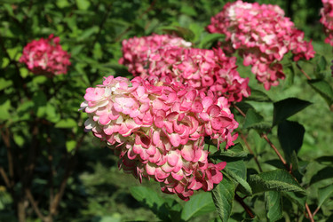 Similar image 22069321