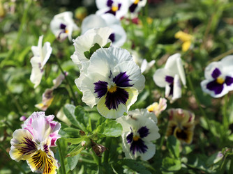 Similar image 22069324