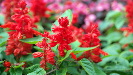 Similar image 22070576