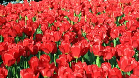 Similar image 22070580