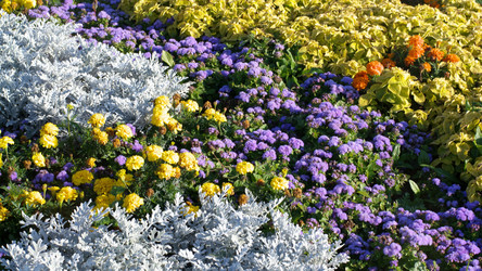 Similar image 22070597