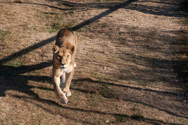 Similar image 22069712