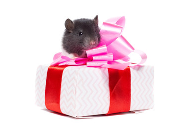 Similar image 22069720