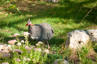 Similar image 22069734