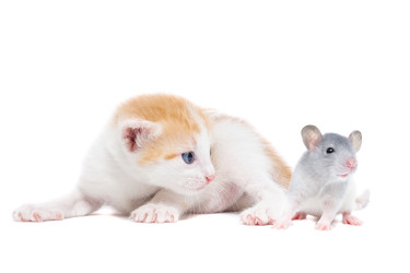 Similar image 22069739