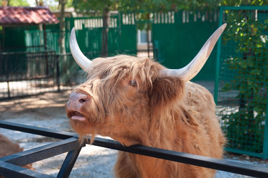 Similar image 22069745