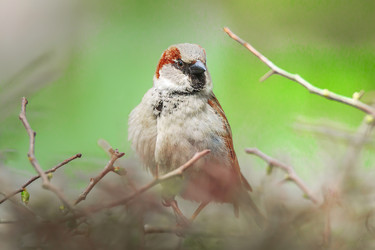 Similar image 22071157