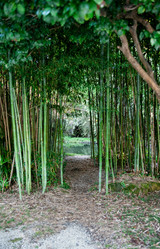 Similar image 22071166