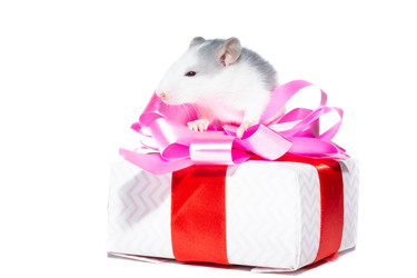 Similar image 22071412