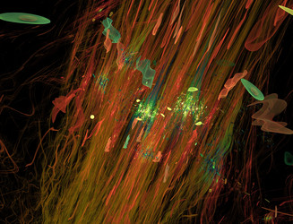 Similar image 22070995