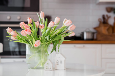 Similar image 22069384