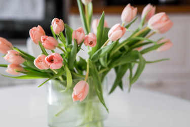 Similar image 22069385