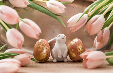 Similar image 22069388