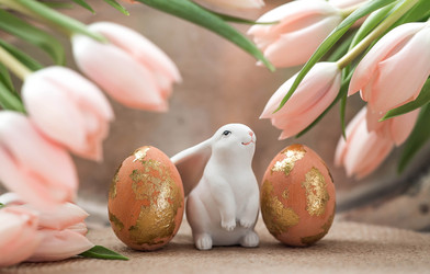 Similar image 22069390