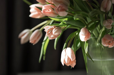 Similar image 22069409