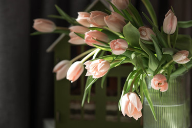 Similar image 22069411