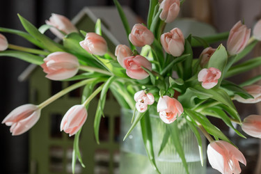 Similar image 22069412