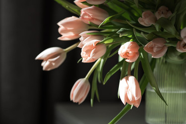 Similar image 22069413