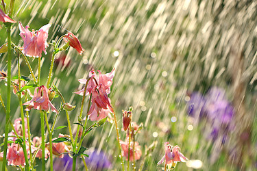 Similar image 22069429