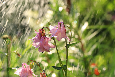 Similar image 22069430