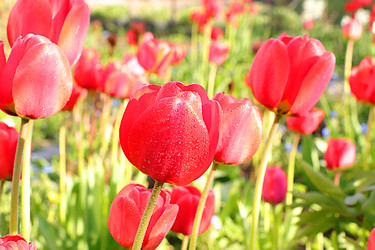 Similar image 22069431