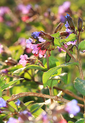 Similar image 22069432