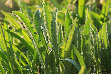 Similar image 22069433