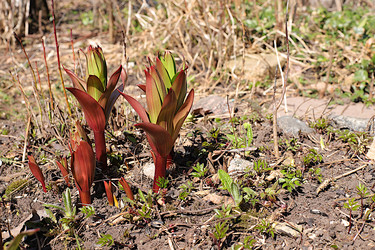 Similar image 22069434