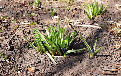 Similar image 22069435