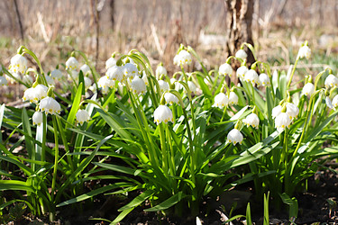 Similar image 22069436