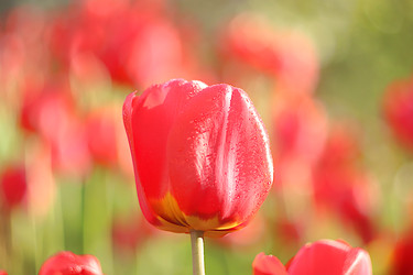 Similar image 22069437