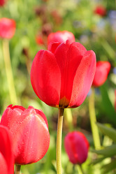 Similar image 22069439