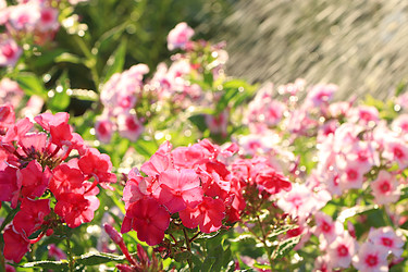 Similar image 22069440