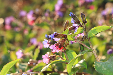 Similar image 22069441