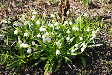 Similar image 22069442