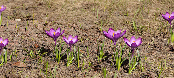 Similar image 22069443