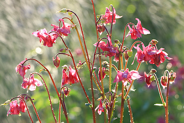 Similar image 22069444