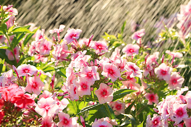 Similar image 22069445