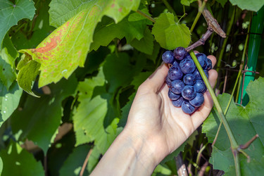 Similar image 22080494