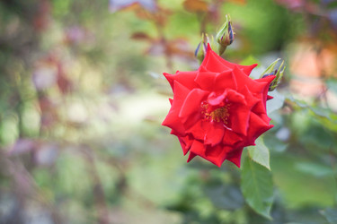 Similar image 22070646