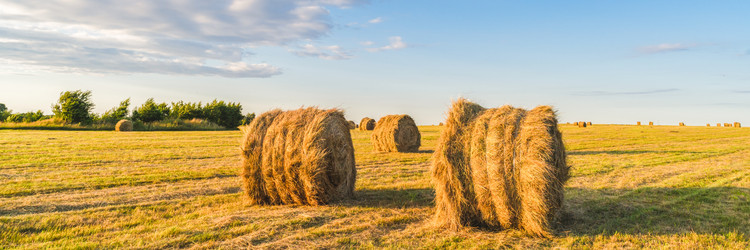 Similar image 22070648