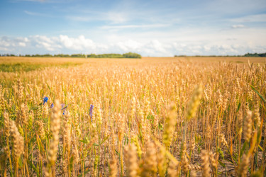 Similar image 22070649