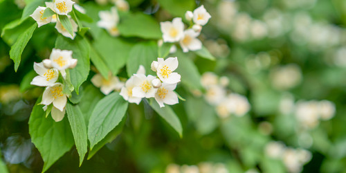 Similar image 22070654