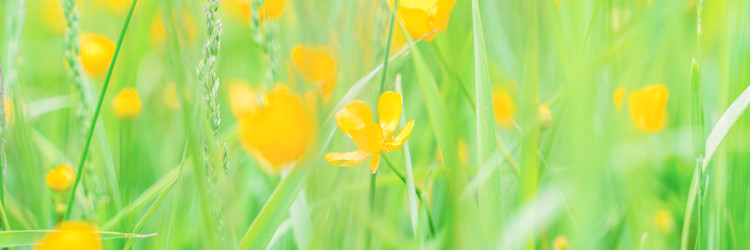 Similar image 22070655