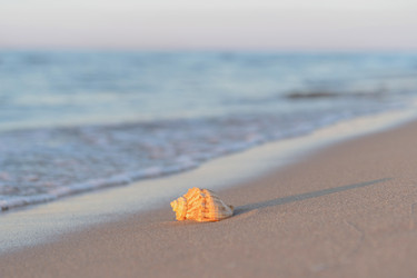 Similar image 22070661