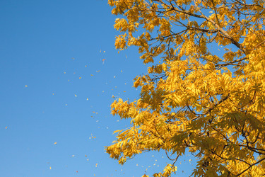 Similar image 22070673