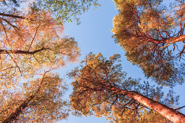 Similar image 22070674